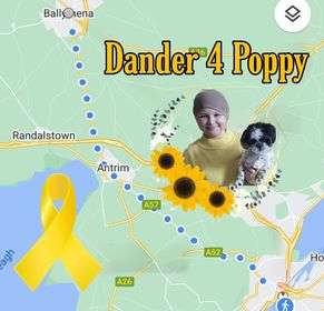 Dander 4 Poppy